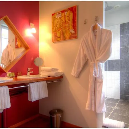 Logis Au Canard Gourmand Samatan