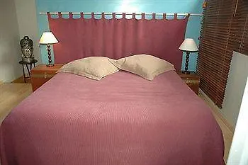 Logis Au Canard Gourmand Hotel Samatan