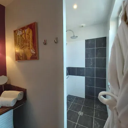 Hotel Logis Au Canard Gourmand Samatan