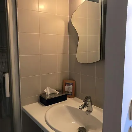 Logis Au Canard Gourmand Hotel Samatan