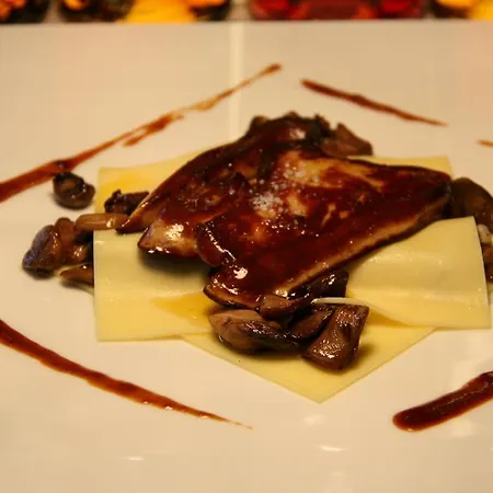 Logis Hotel & Restaurant Au Canard Gourmand Hotel Samatan