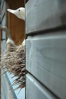 Logis Au Canard Gourmand 3*